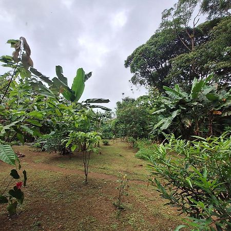 Cabinas Corcovado Green Parrot, Los Planes Drake Drake Bay Exterior photo