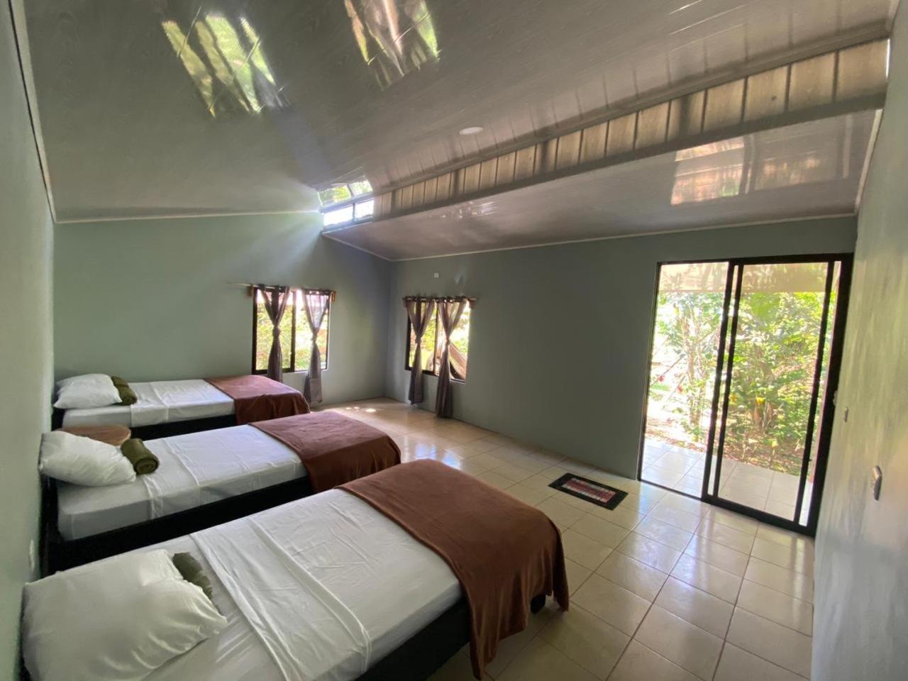 Cabinas Corcovado Green Parrot, Los Planes Drake Drake Bay Room photo