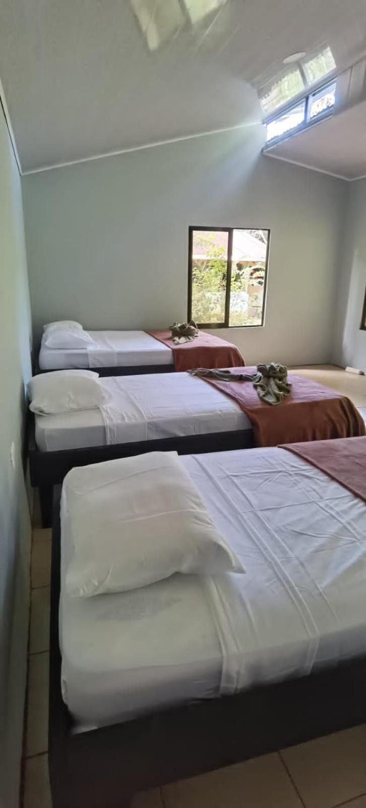 Cabinas Corcovado Green Parrot, Los Planes Drake Drake Bay Exterior photo