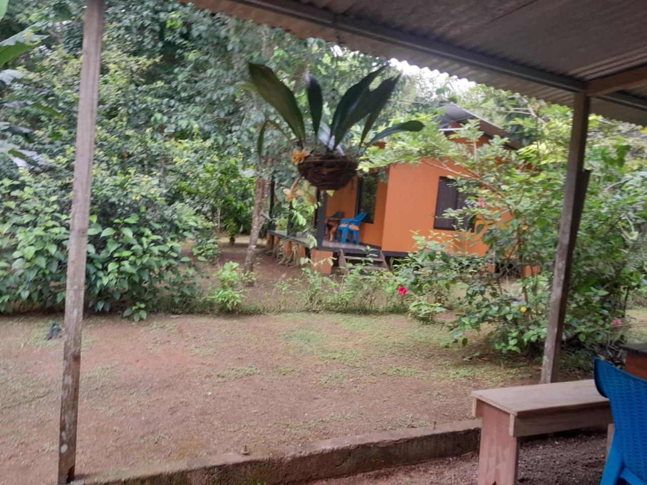 Cabinas Corcovado Green Parrot, Los Planes Drake Drake Bay Exterior photo