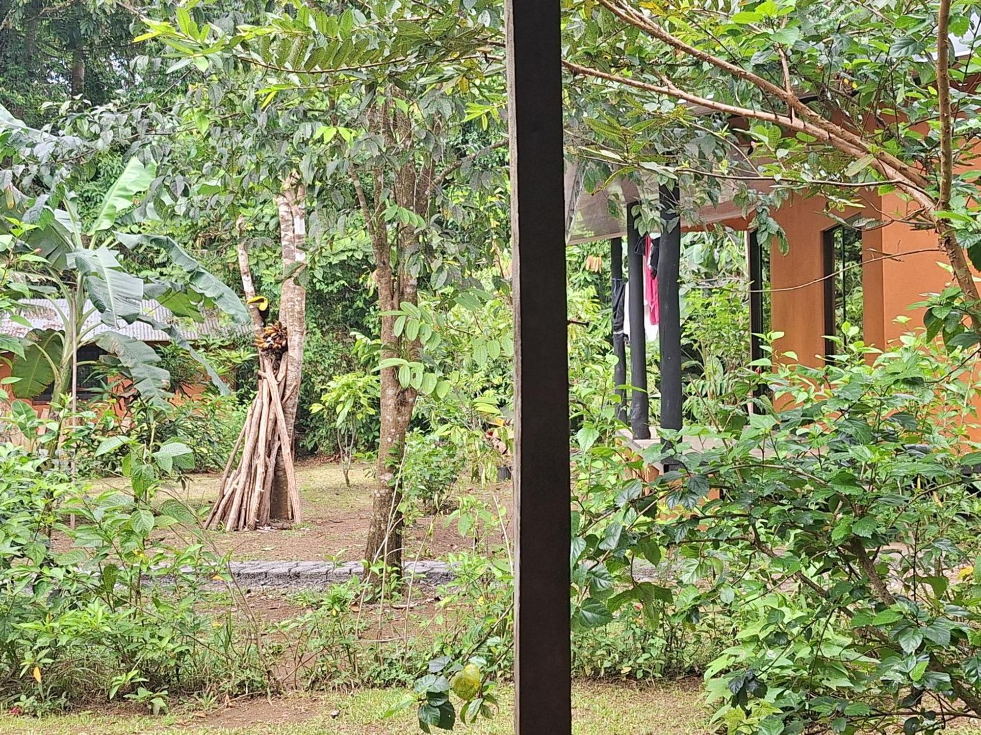 Cabinas Corcovado Green Parrot, Los Planes Drake Drake Bay Exterior photo