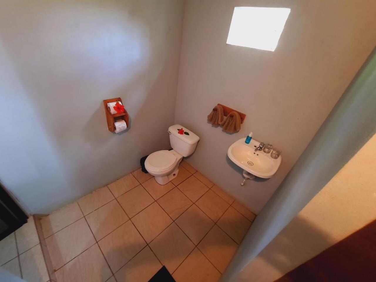 Cabinas Corcovado Green Parrot, Los Planes Drake Drake Bay Room photo