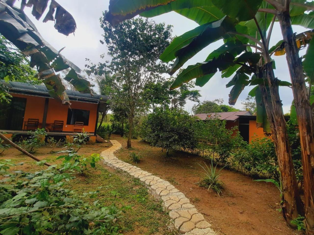 Cabinas Corcovado Green Parrot, Los Planes Drake Drake Bay Exterior photo
