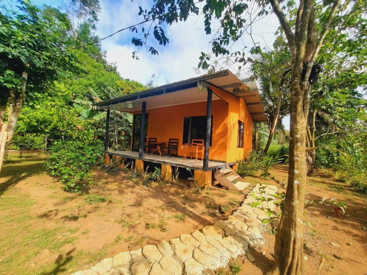 Cabinas Corcovado Green Parrot, Los Planes Drake Drake Bay Exterior photo